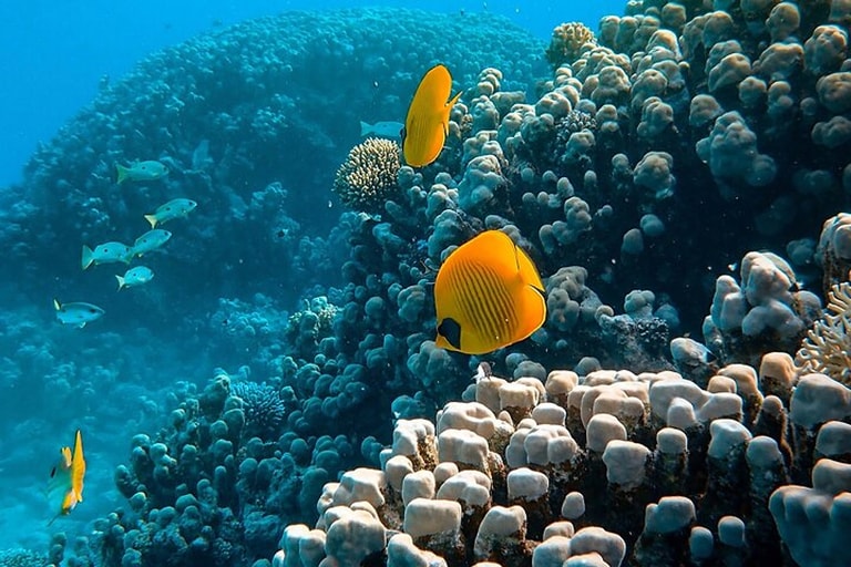 You and Me by Cocoon Maldives — photo 3
