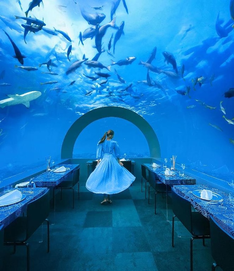 You and Me by Cocoon Maldives — photo 15